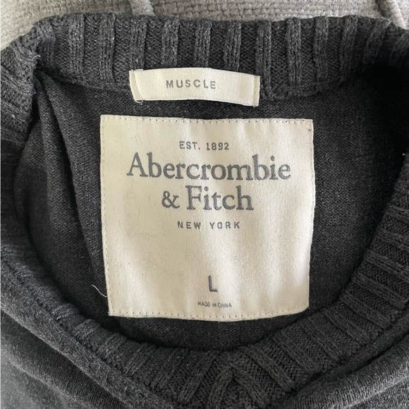 Abercrombie & Fitch Men's Grey Muscle V-Neck Cashmere Blend Sweater Size Large - Picture 5 of 6